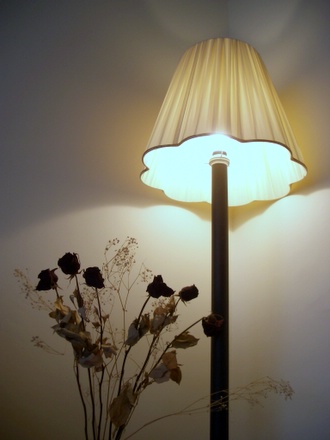 Flowers and Lamp